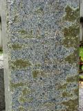 image of grave number 205811